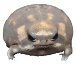 692217307