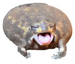 692217308