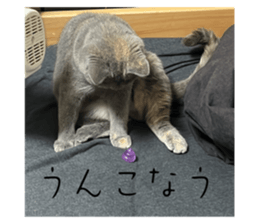 692224016