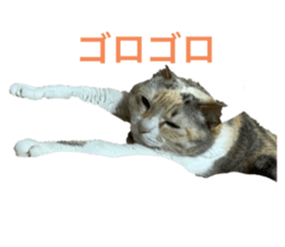 692230049