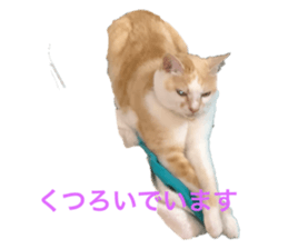 692230051