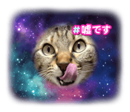 692238115