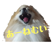 692243849
