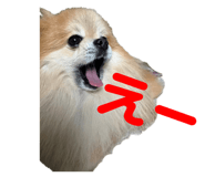 692243851