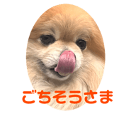 692243853