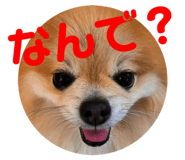 692243854