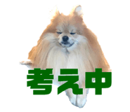 692243855