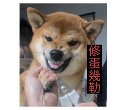 692349209