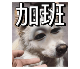 692349985