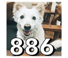 692349993