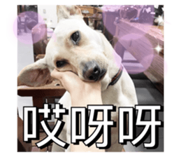 692350016
