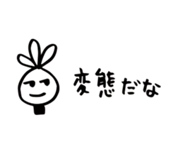 69237527