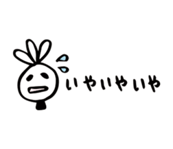 69237533