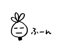 69237536
