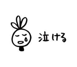 69237542