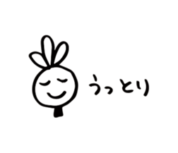 69237548