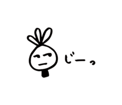 69237555