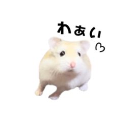 692414171