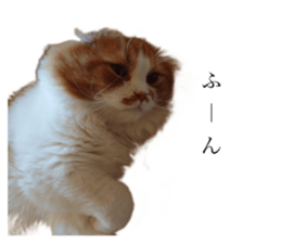 692431320