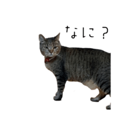 692453007