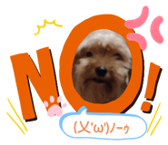 692460125