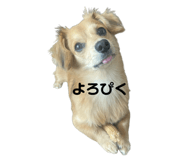 692469620