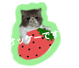 692505538