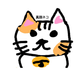 692509725