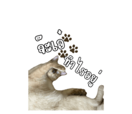 692516119