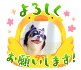 692519248