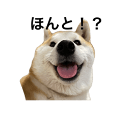 692534126