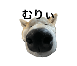 692534127