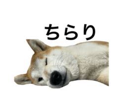 692534132