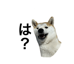 692534133