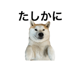692534142