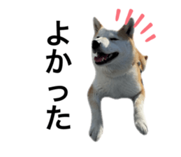 692534152
