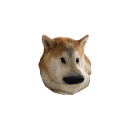 692534160