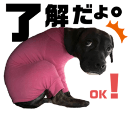 692534279