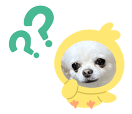 692537800