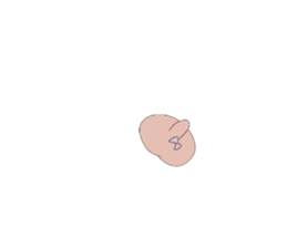 692548853