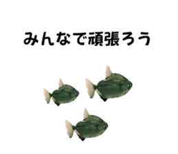 692557824