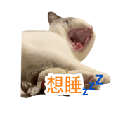 692651755