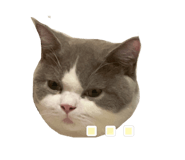 692651757