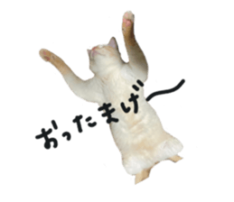 692690561