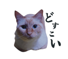 692690565
