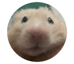 692700625