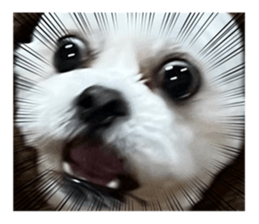 692703592