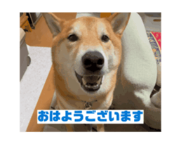 692712369