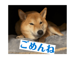 692712383