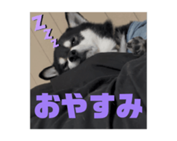 692718933